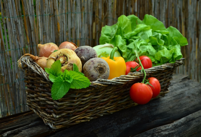 traiteur-LE CASTELLET-min_plant-fruit-food-salad-harvest-produce-879579-pxhere.com - Copie